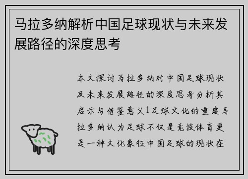 马拉多纳解析中国足球现状与未来发展路径的深度思考