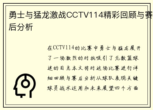 勇士与猛龙激战CCTV114精彩回顾与赛后分析