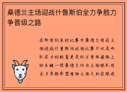 桑德兰主场迎战什鲁斯伯全力争胜力争晋级之路