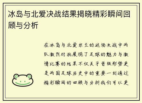 冰岛与北爱决战结果揭晓精彩瞬间回顾与分析