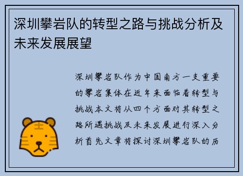 深圳攀岩队的转型之路与挑战分析及未来发展展望